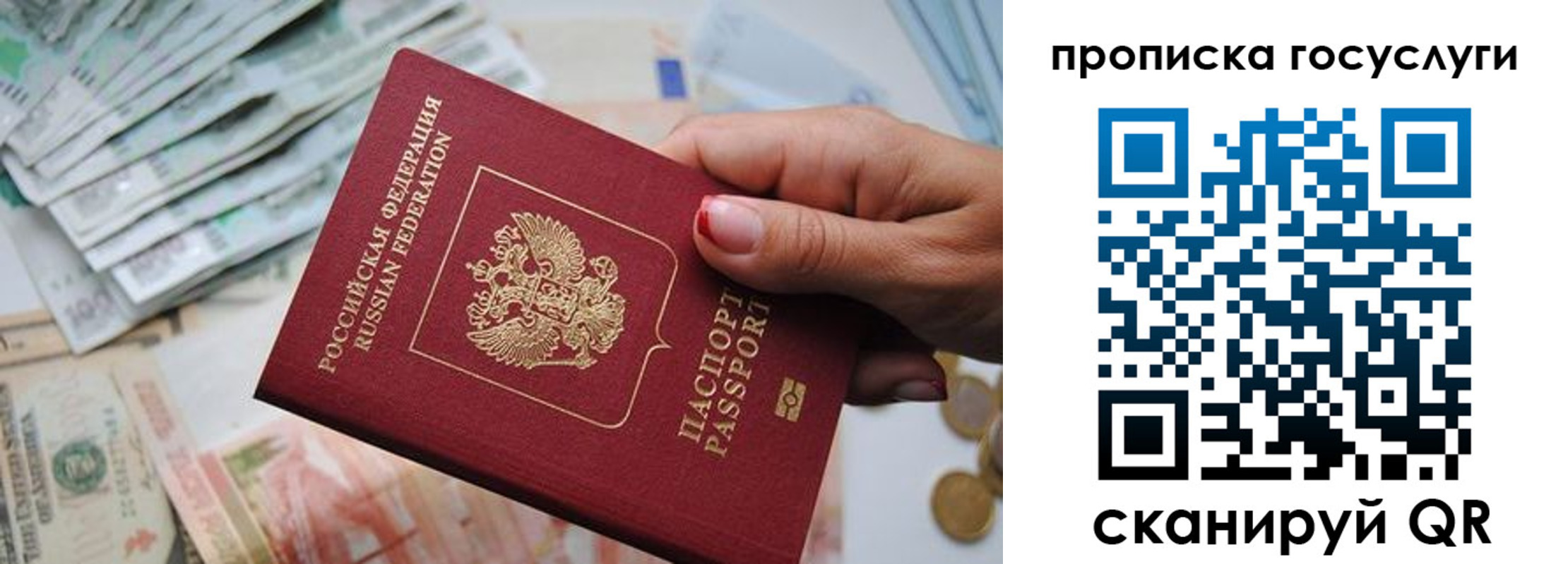 прописка поиск в Купино